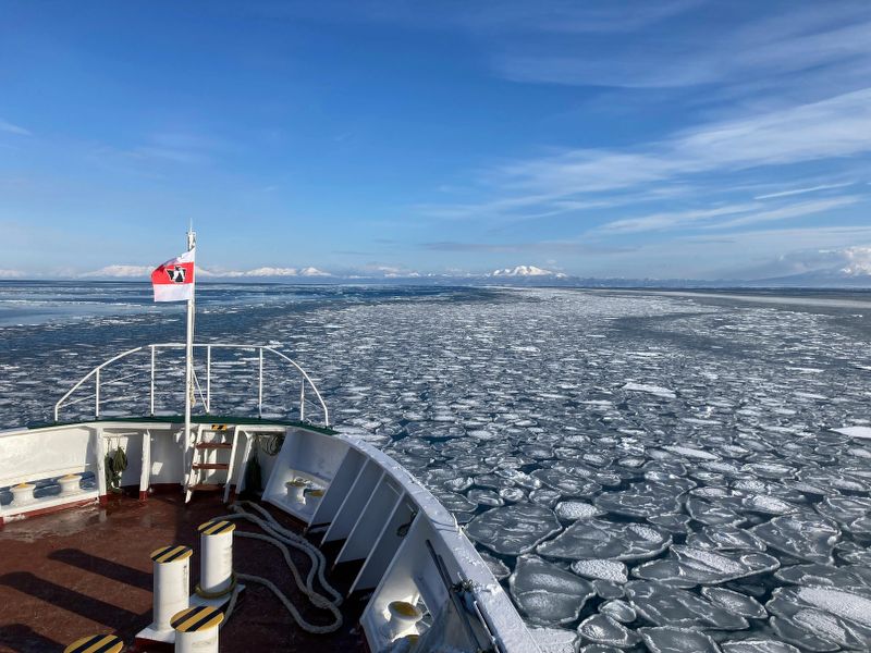 viaggio-in-antartide-natura